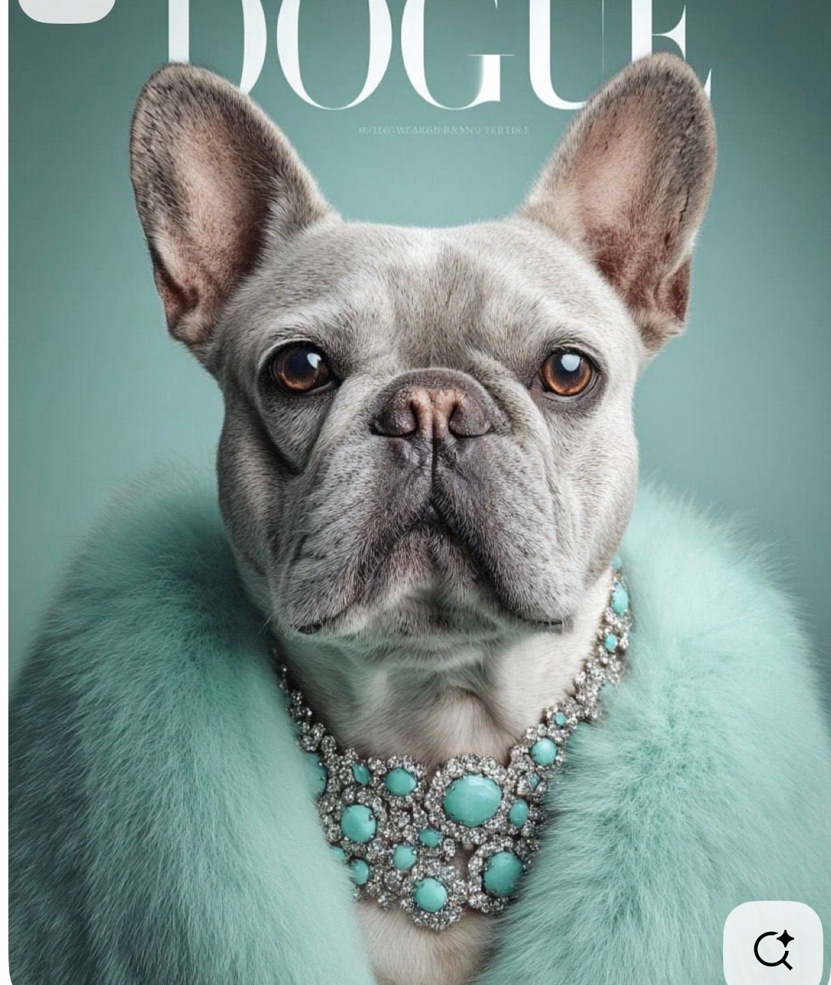 Dog collar
